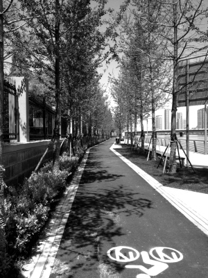 目前已建成16萬平方米綠地形成5.5公里連續(xù)綠道每日早晚有近千人次在建成區(qū)域內(nèi)鍛煉、休閑