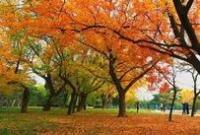 今年秋分124年來"最早" 為何如此之早