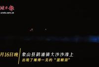 罕見!象山出現(xiàn)如夢如幻的“藍眼淚”