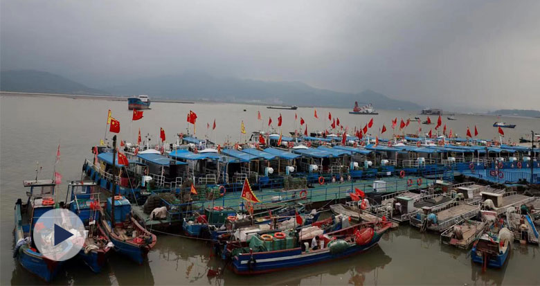 休閑漁船進港避風