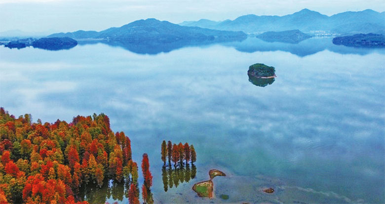 池杉漸紅山浮水