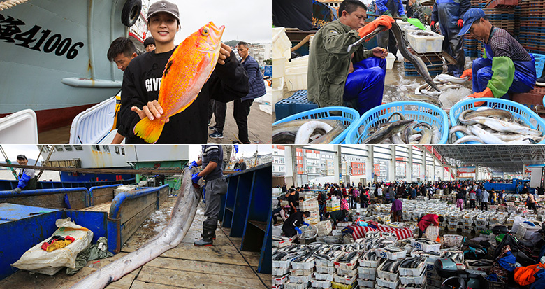 寒潮來襲 象山大批漁船攜漁獲提前回港交易