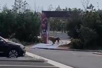 RF(tun)ֻ{f\ ^ɢӣٷͨ